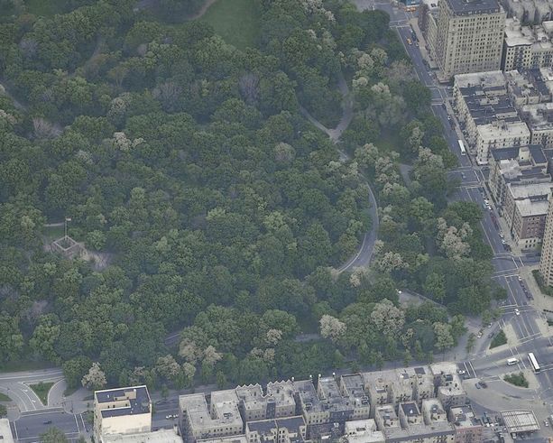 central park the cliff: central park the cliff